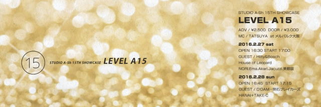 LEVEL A15